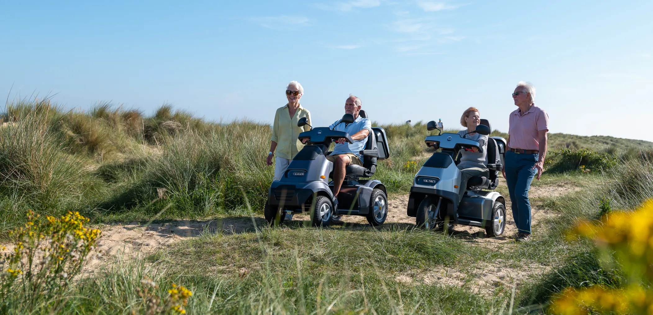 Large Scooters
