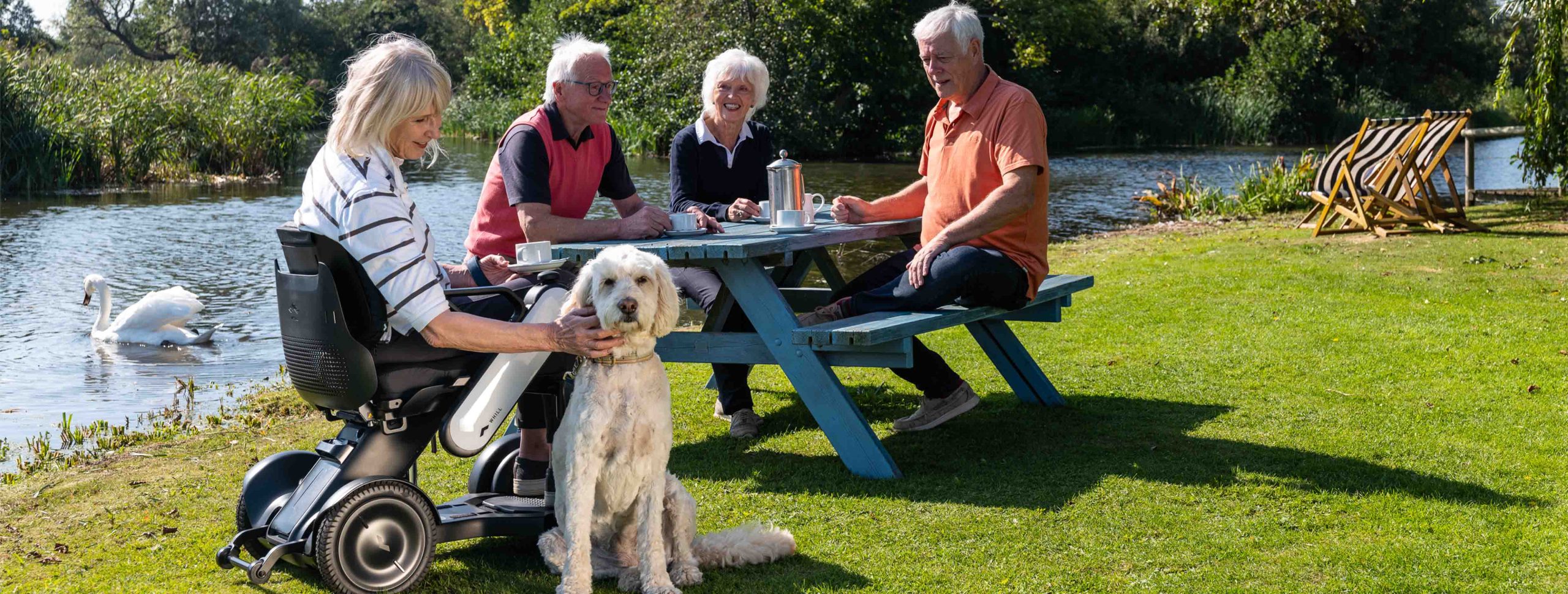 Motability Powerchairs